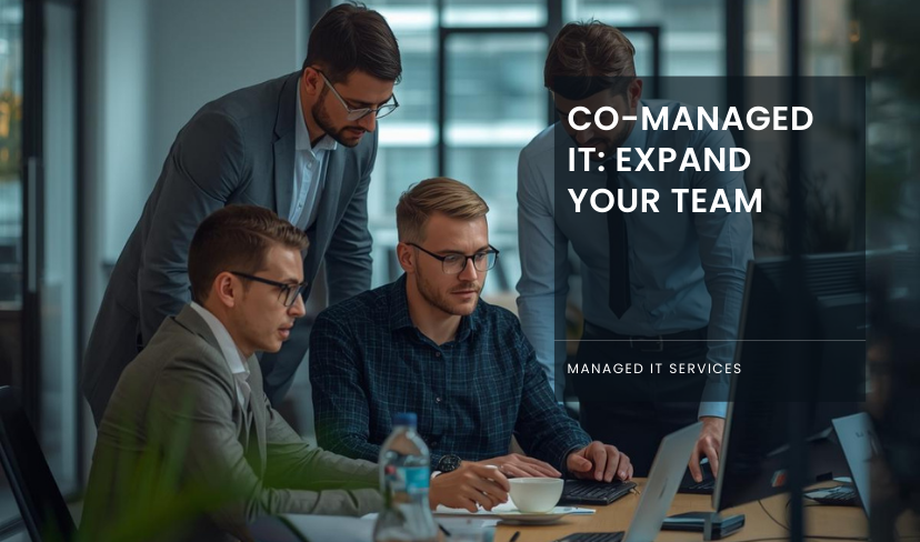 Co-Managed IT